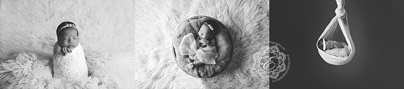 posed newborn photography edmonton