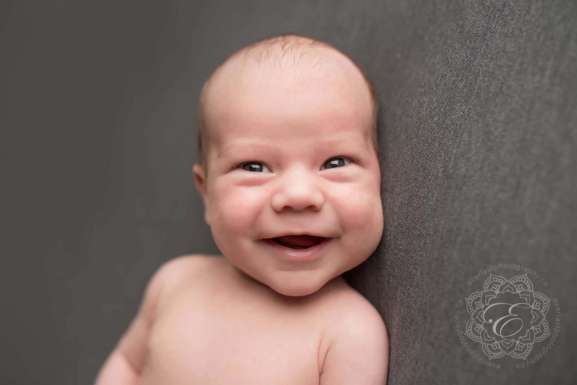edmonton newborn photographers
