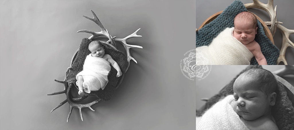 newborn photography edmonton