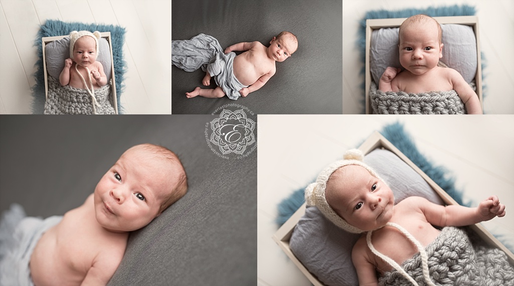 edmonton newborn photography studio