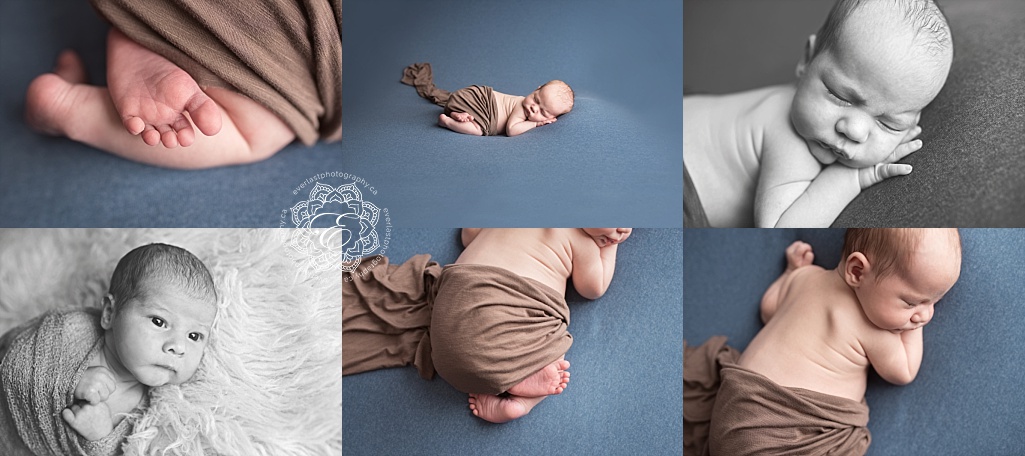 edmonton posed newborn photographers