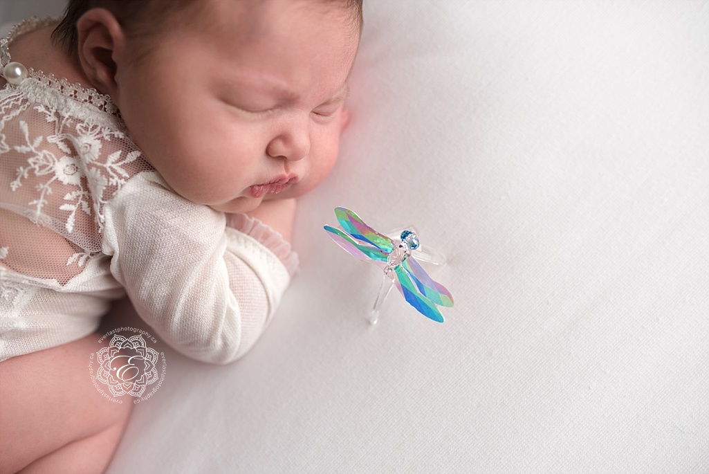 Newborn Photography Edmonton