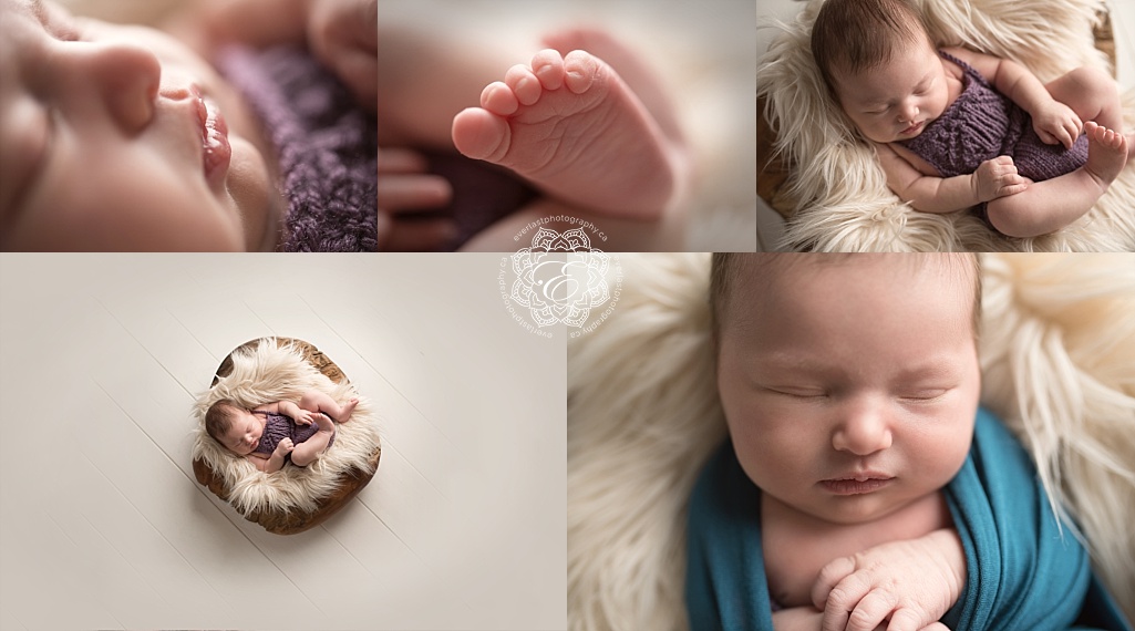 Edmonton newborn photographer