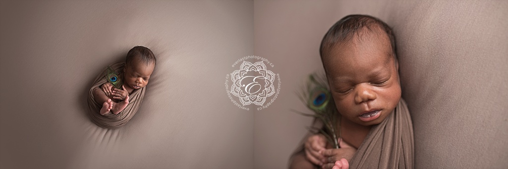 Edmonton newborn studio photographer