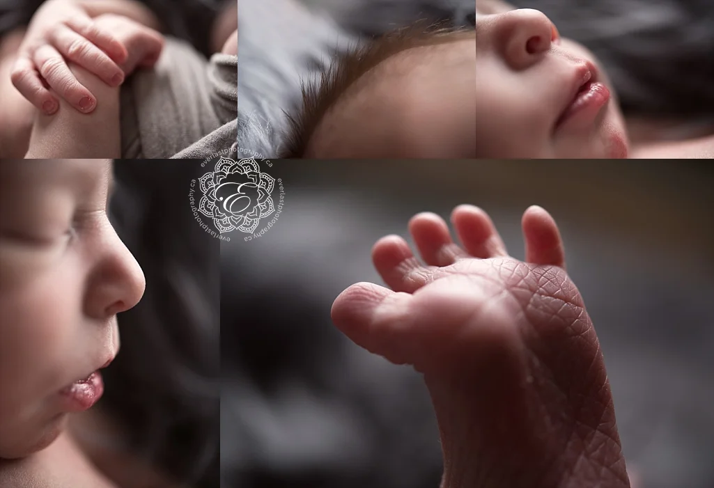 edmonton-newborn-photographers.jpg