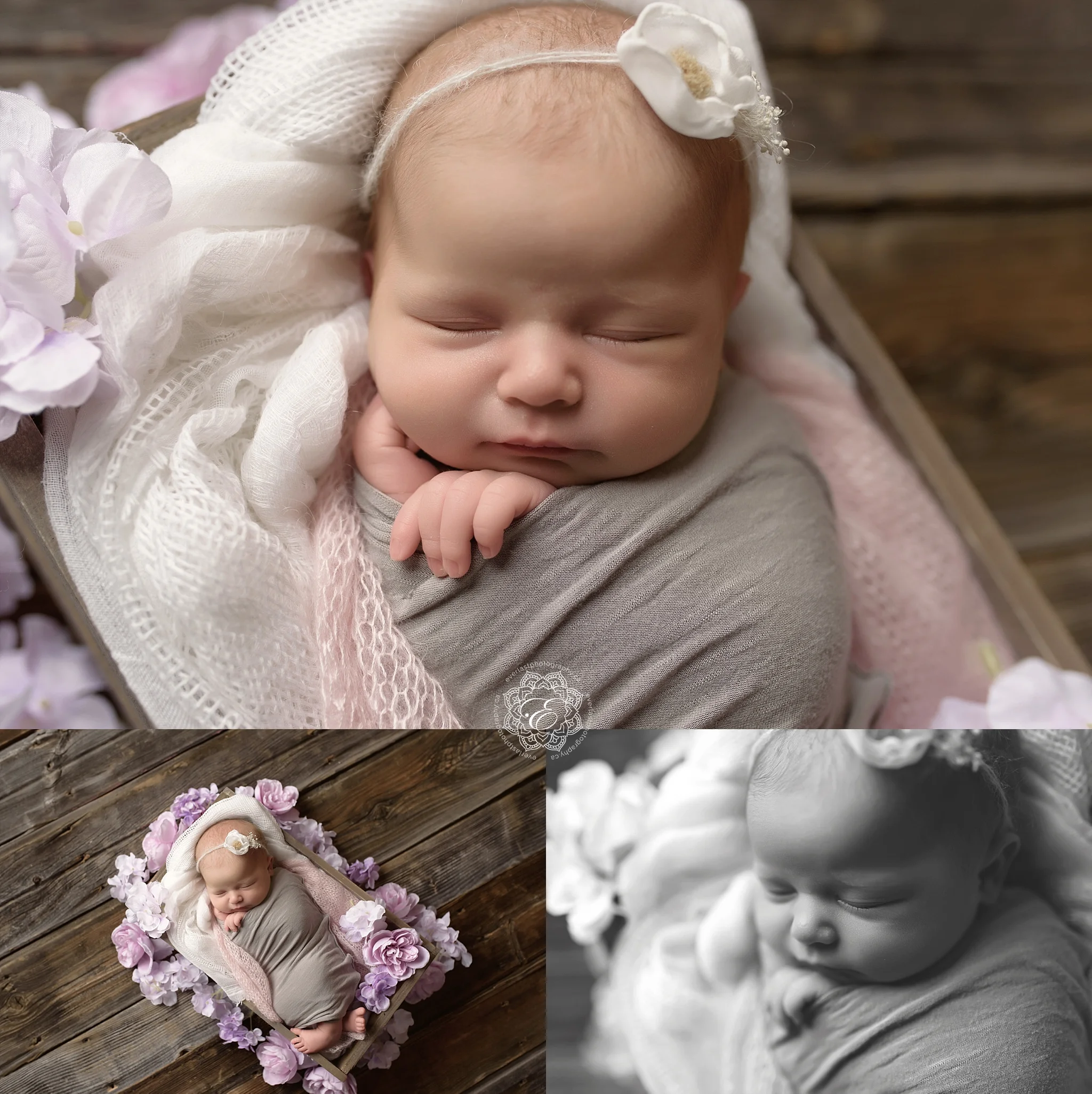 edmonton-newborn-photographer.jpg