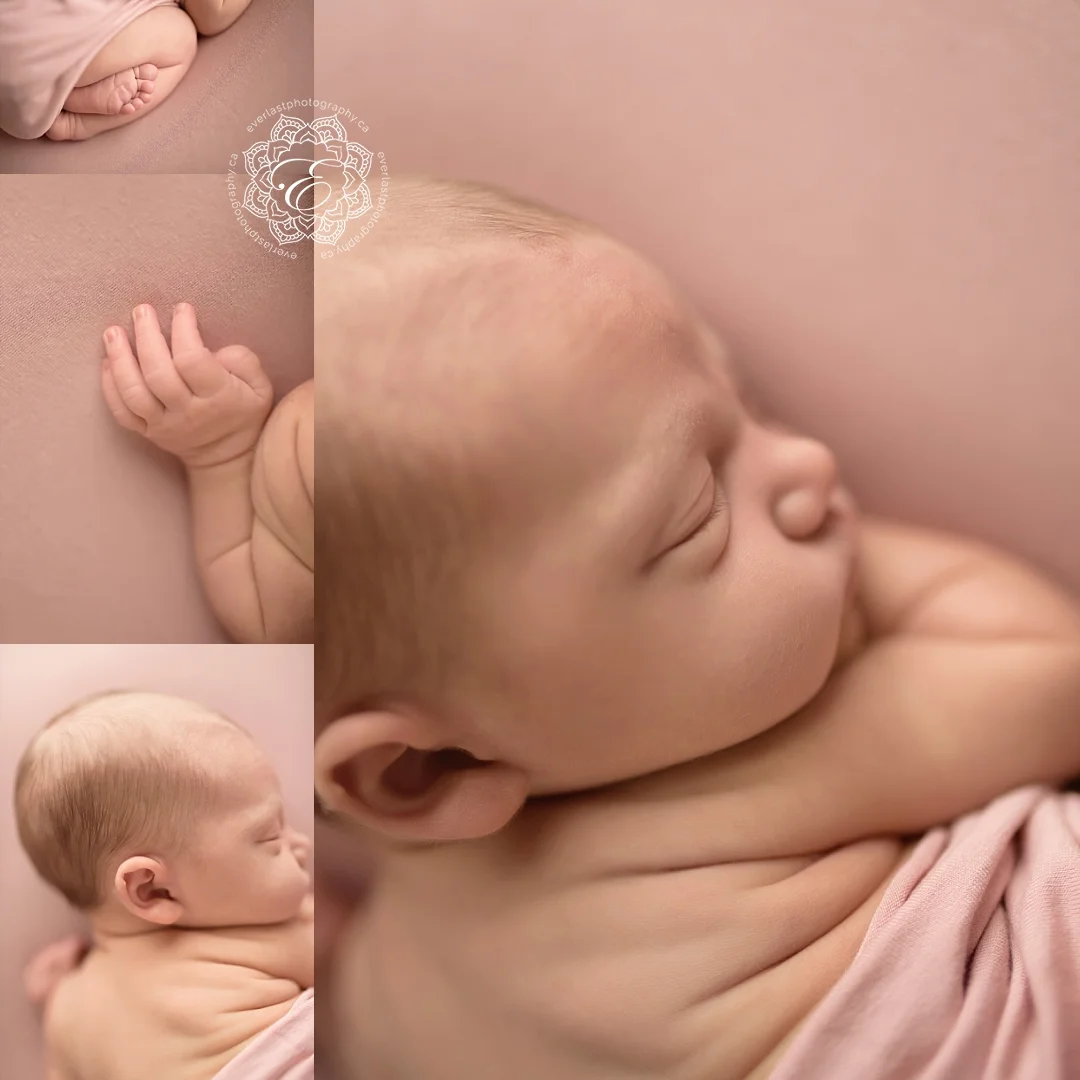 edmonton-newborn-photographer-posed.jpg