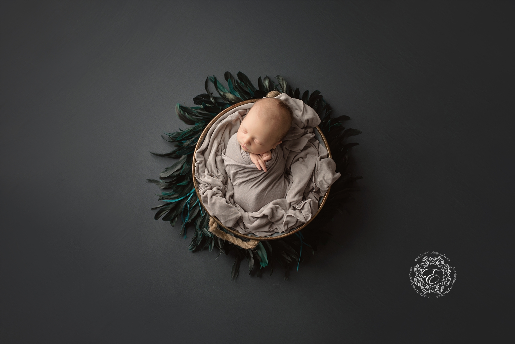 edmonton-studio-newborn-portraits.jpg