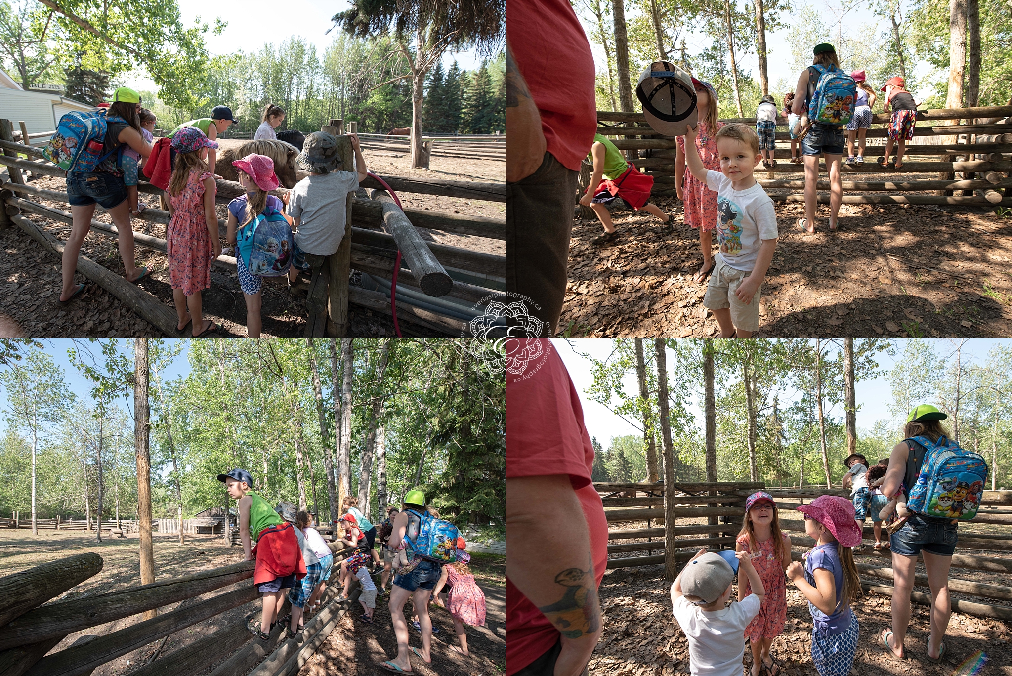 group-of-children-playing.jpg