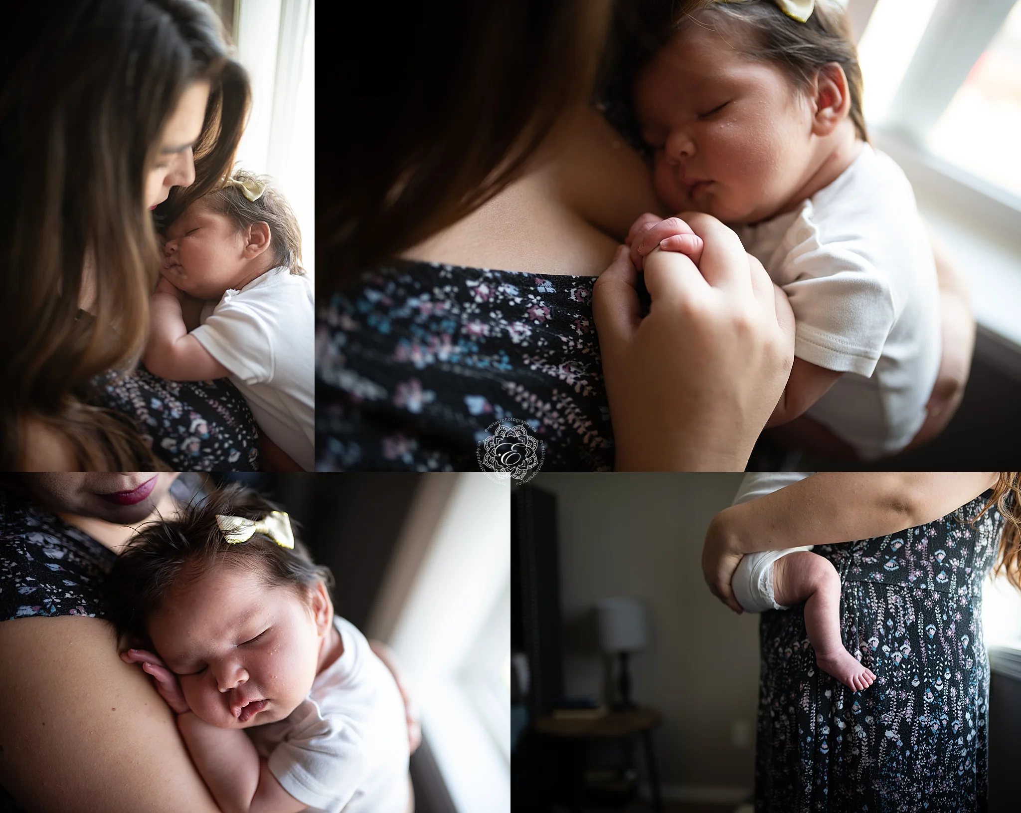 newborn-lifestyle-portraits-edmonton.jpg