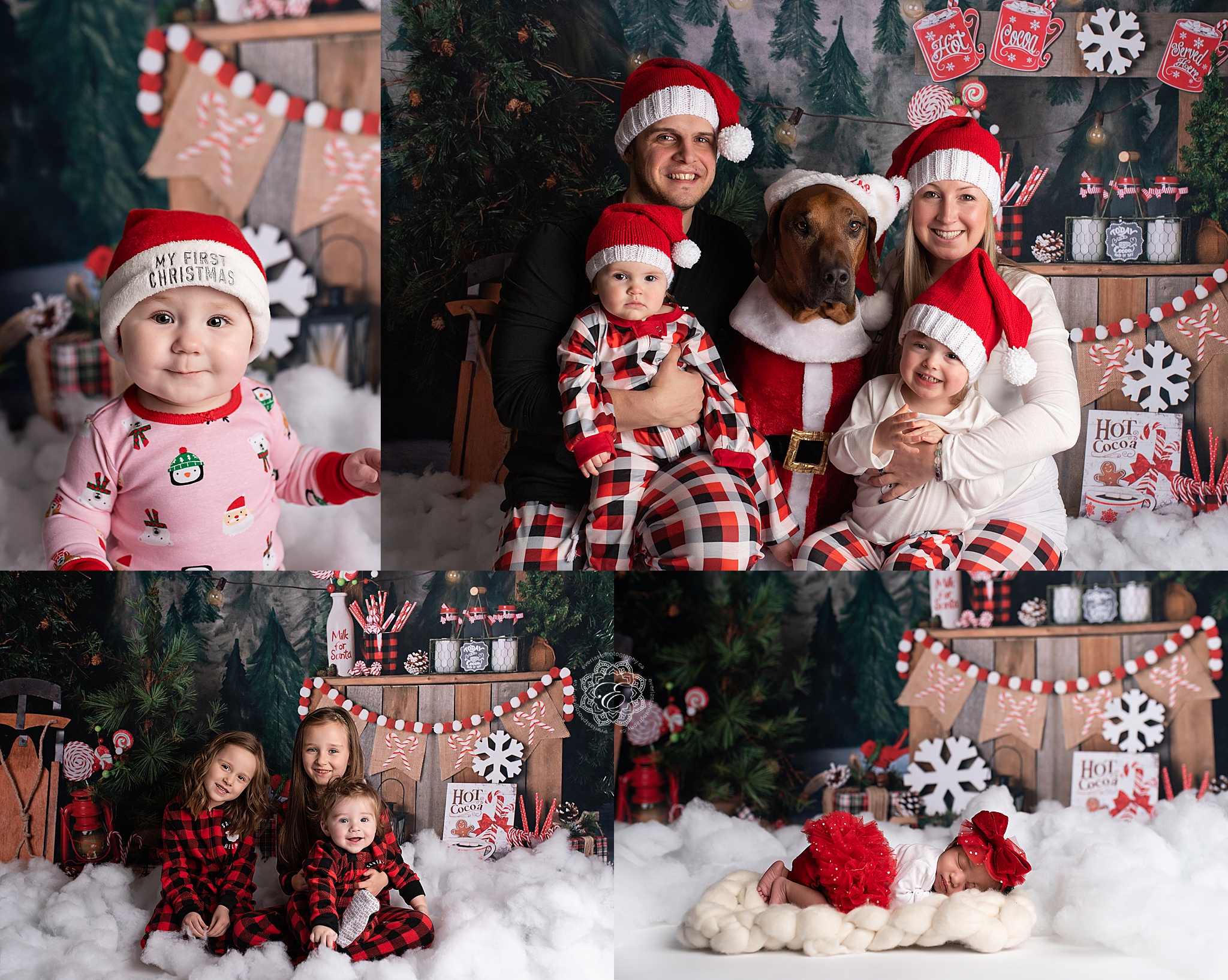 everlast-gift-sessions-edmonton.jpg