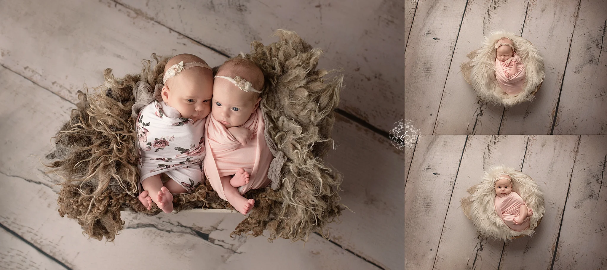edmonton-studio-twin-newborn-photographer.jpg