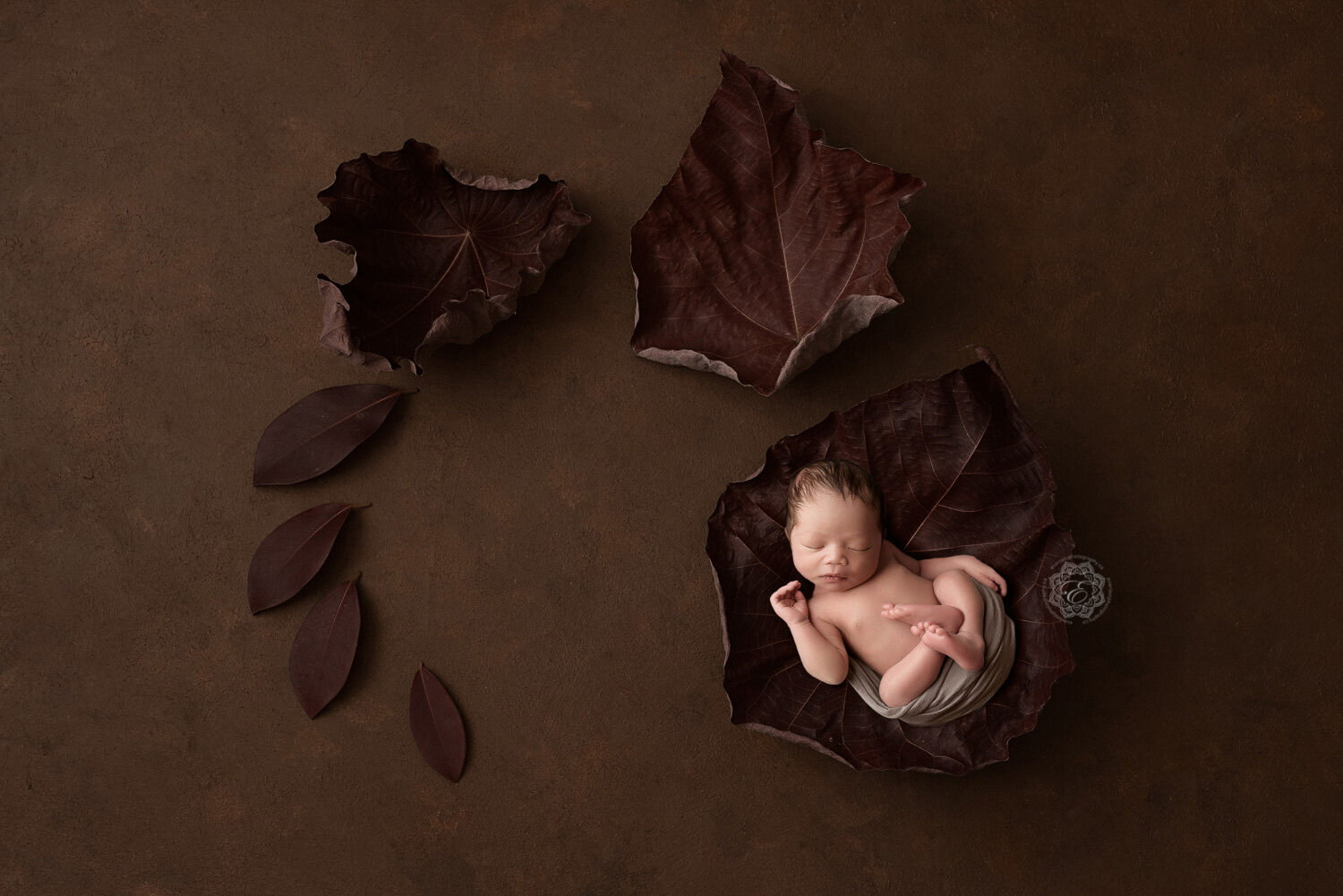 Edmonton-Newborn-Baby-Photographers.jpg