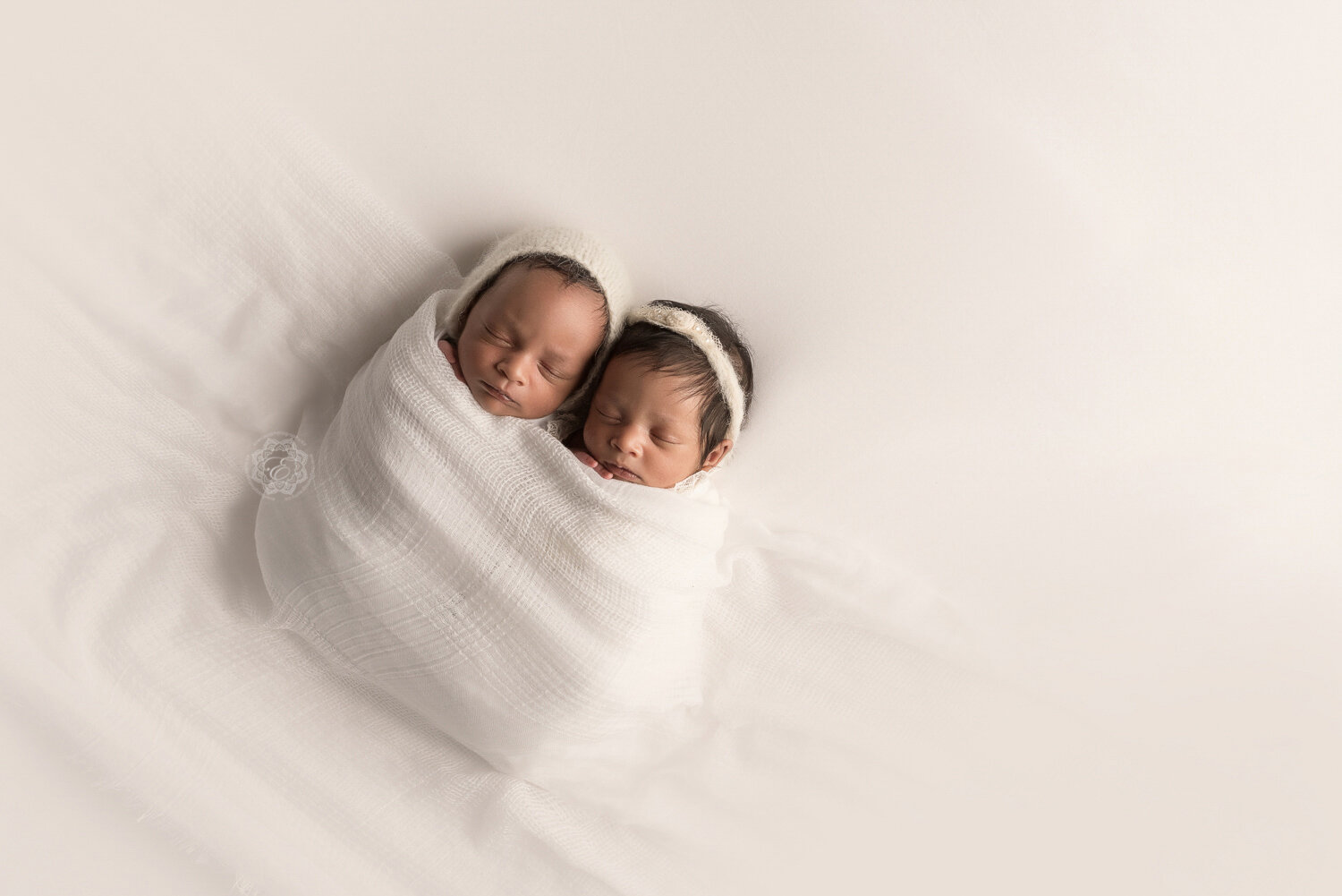 Edmonton-Twin-Newborn-Photographer.jpg