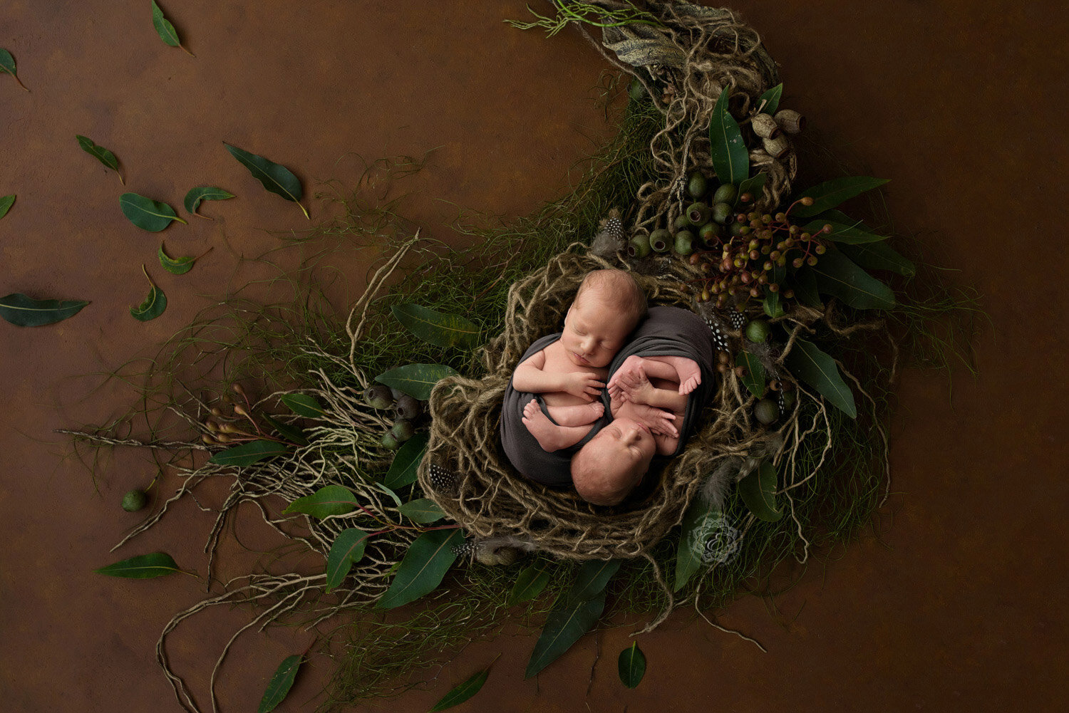 Edmonton-Twin-Newborn-Photos.jpg