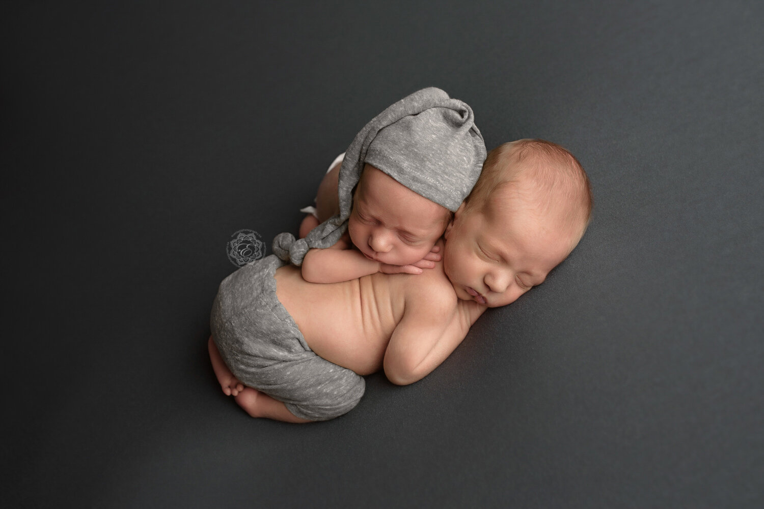 Edmonton-Newborn-Twin-Photographer.jpg