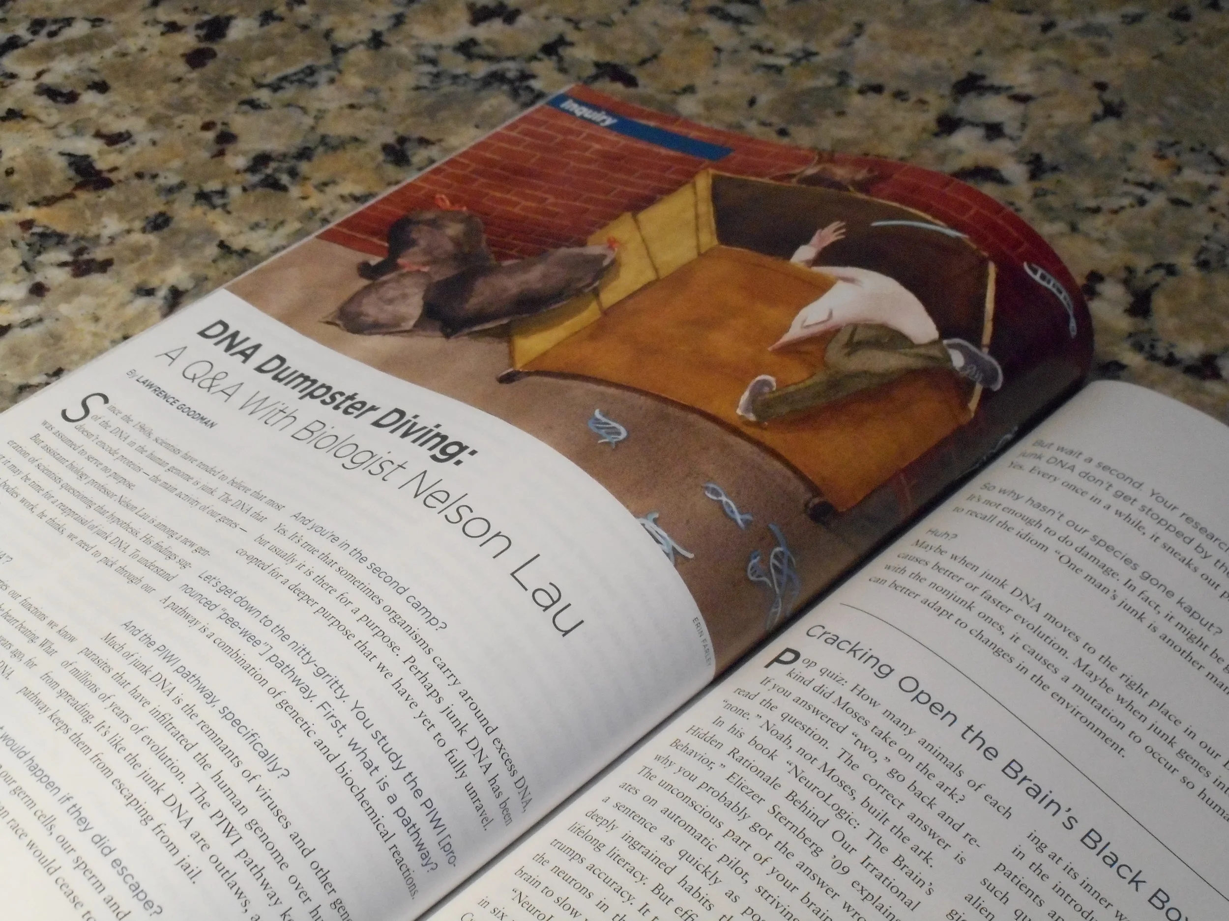 MagazineKitchenShoot 046.JPG