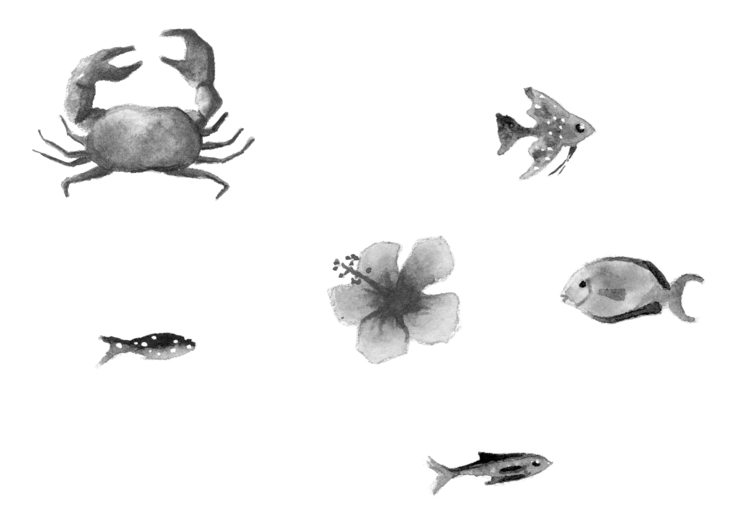emilyspots.jpg
