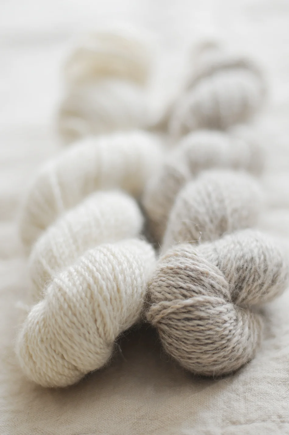 fiber9.jpg