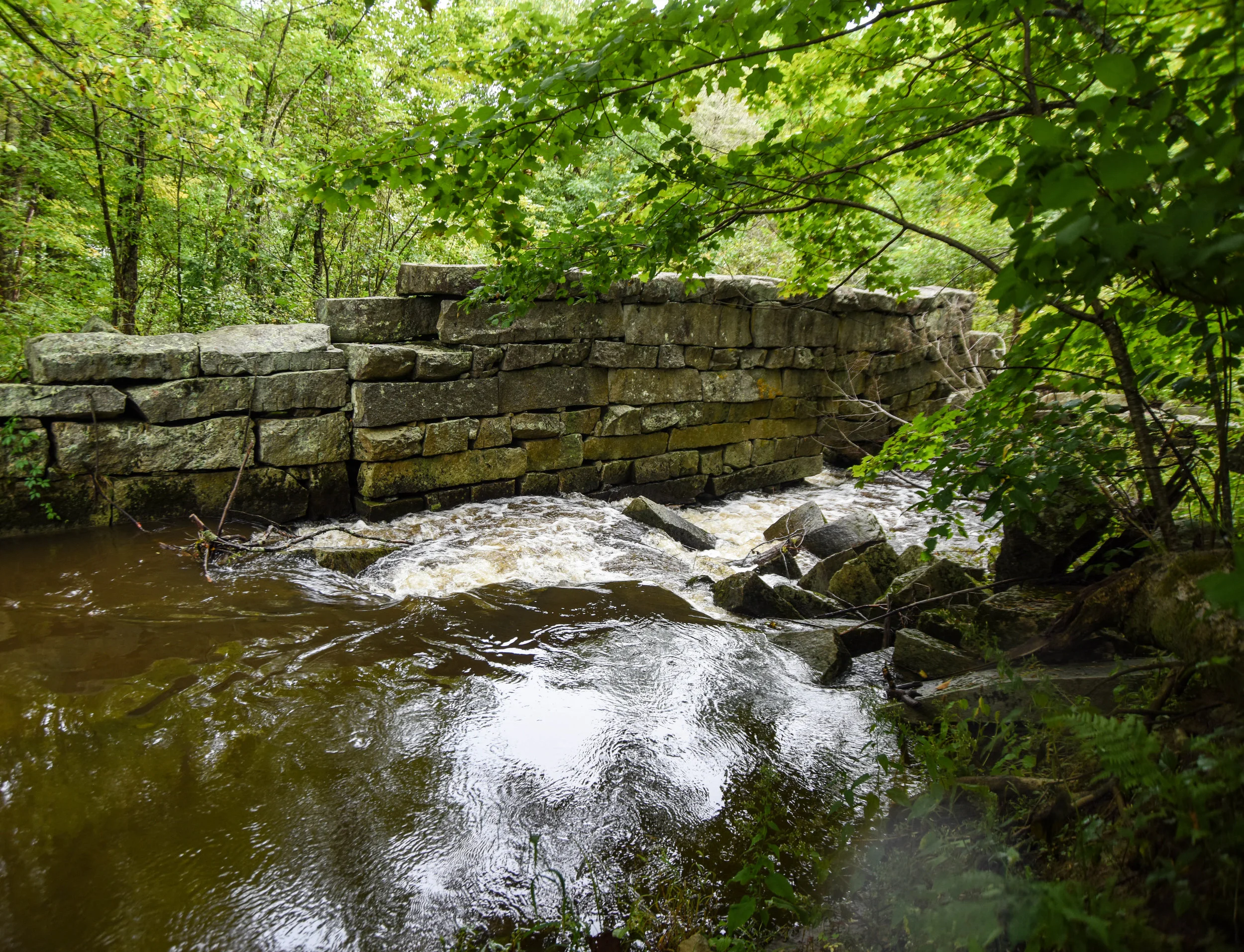 DSC_6961.jpg