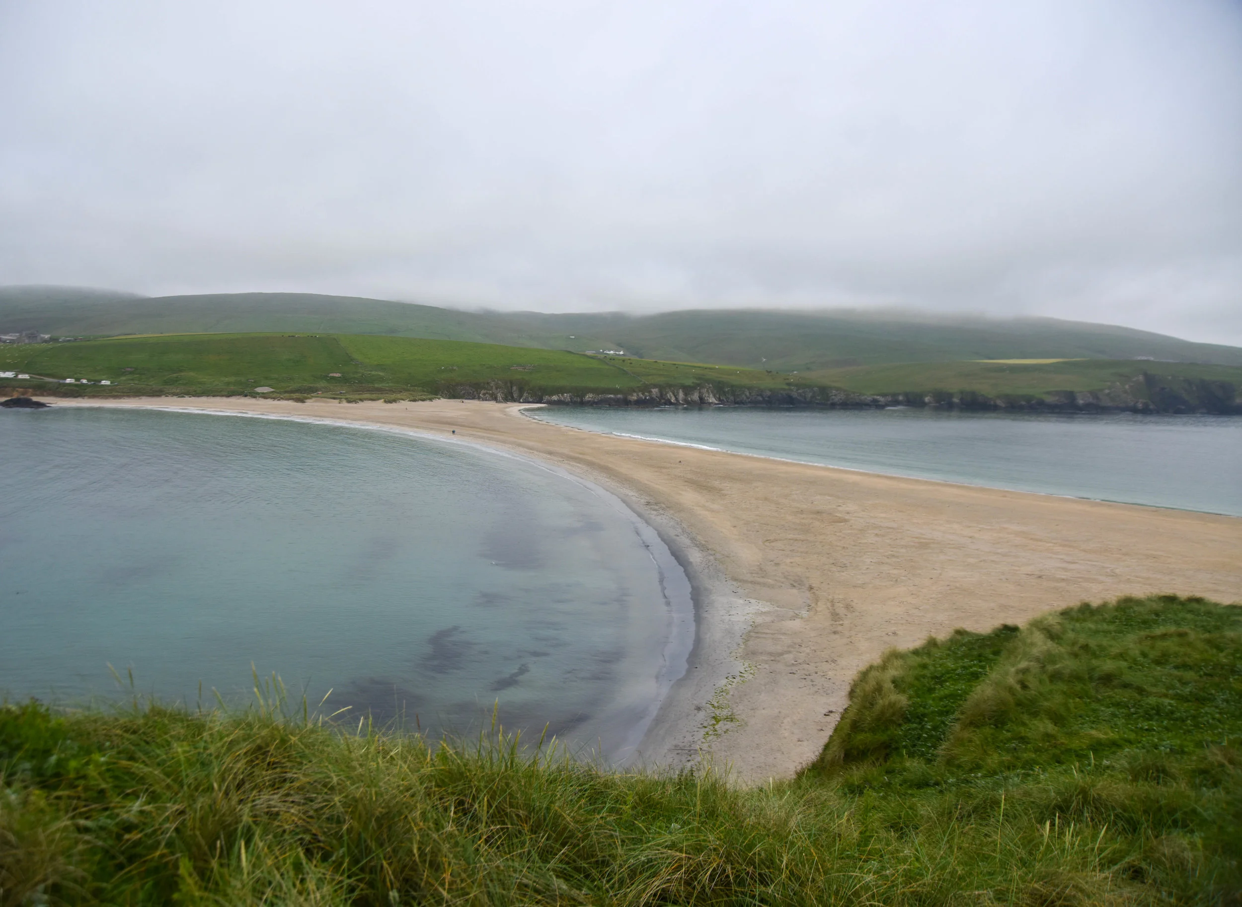 DSC_2321.jpg