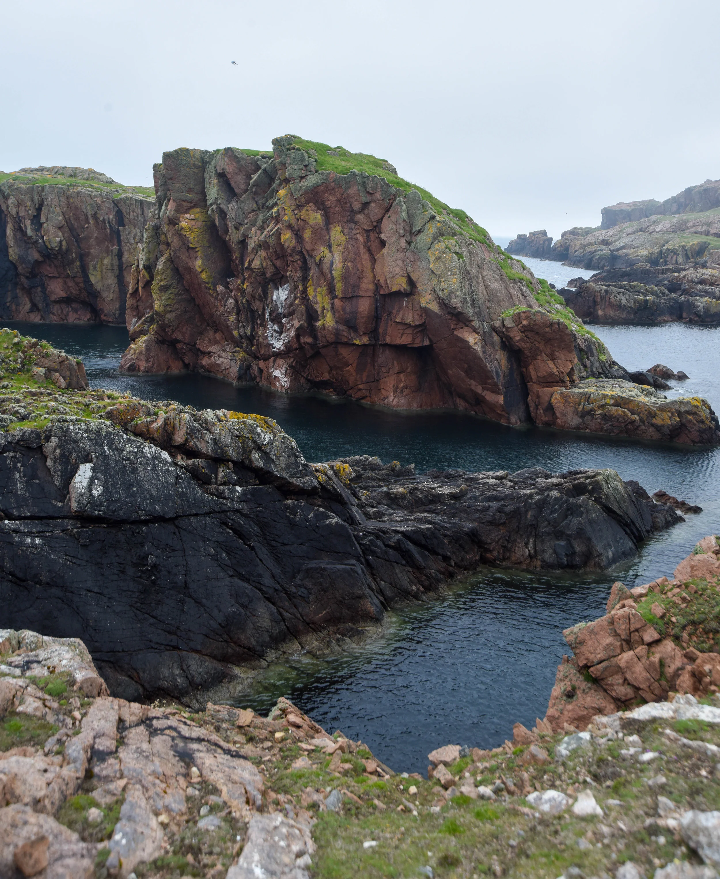 DSC_2666.jpg