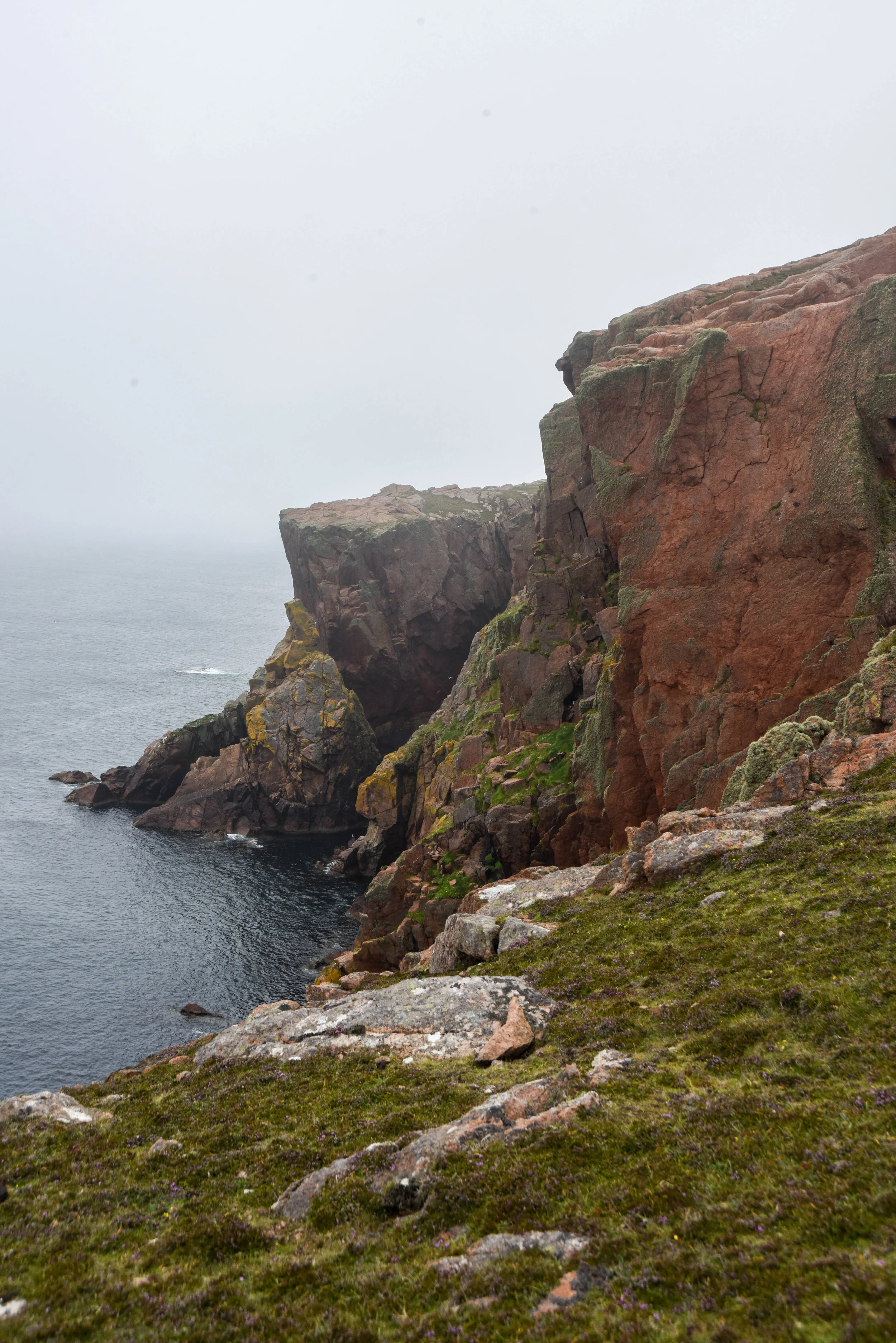 DSC_2712.jpg