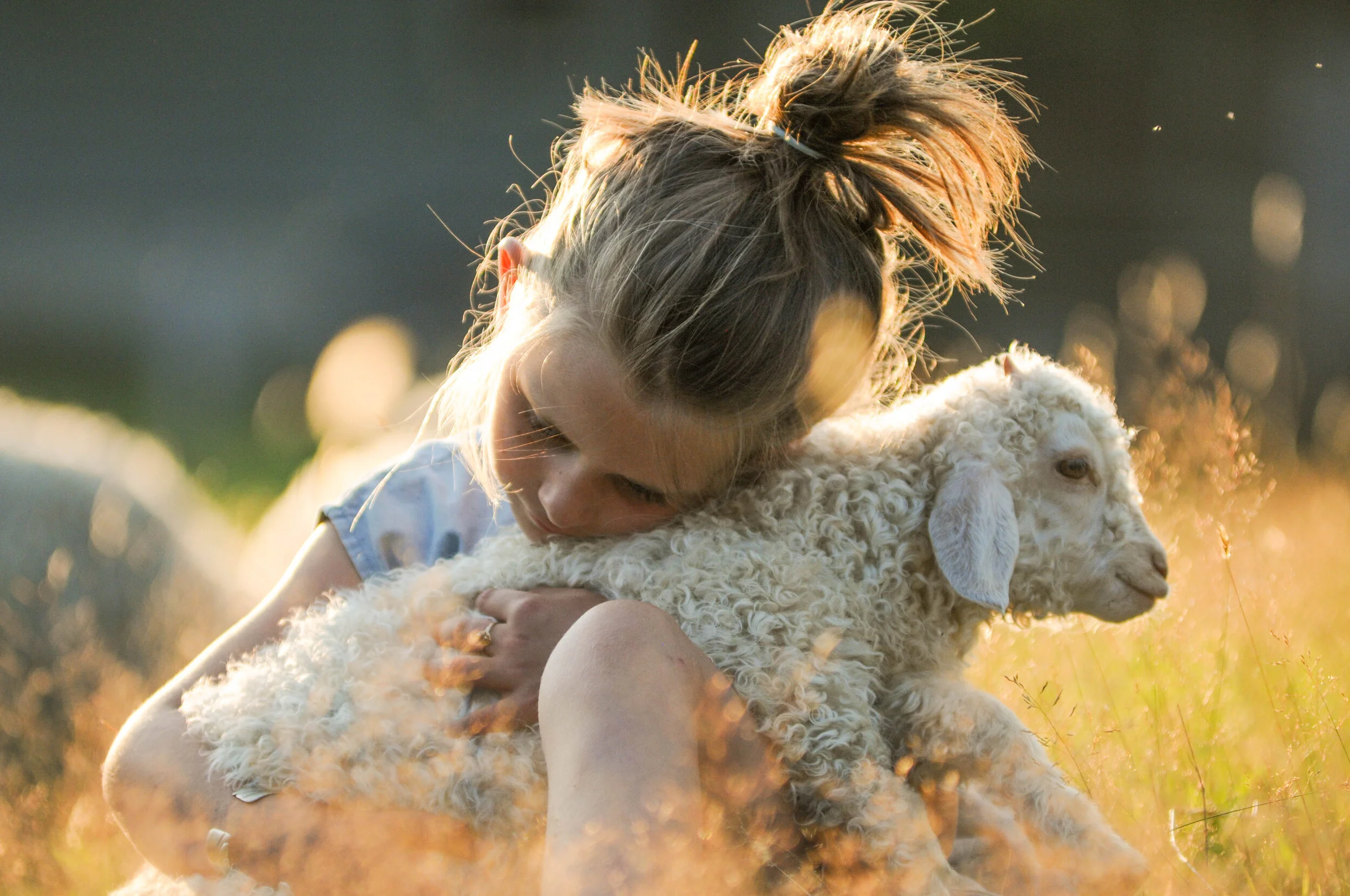 Farm Camp - 4 to 6 year olds