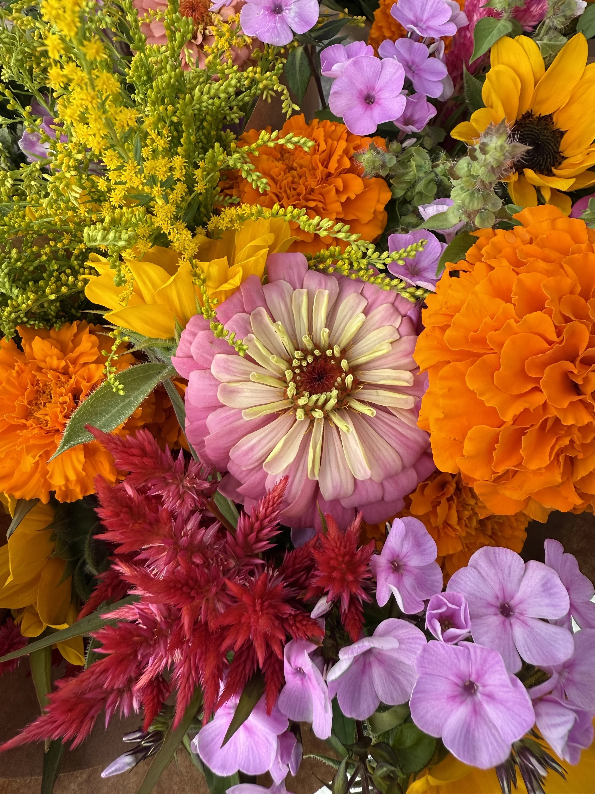 a group of colorful cut flowers in pink, orange, yellow, red and green