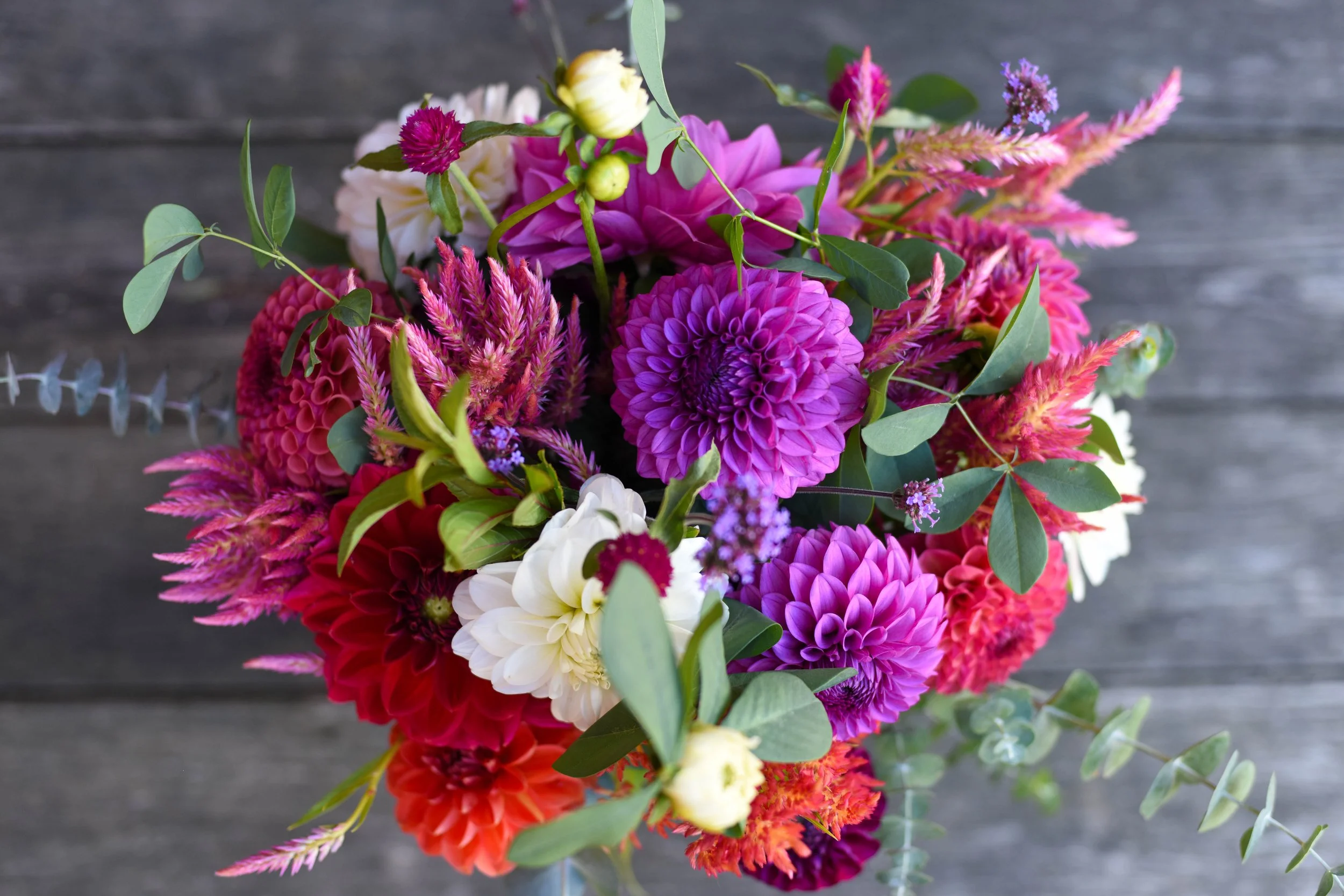 Jewel toned bridal bouquet with purple, pink and white dahlias and greenery