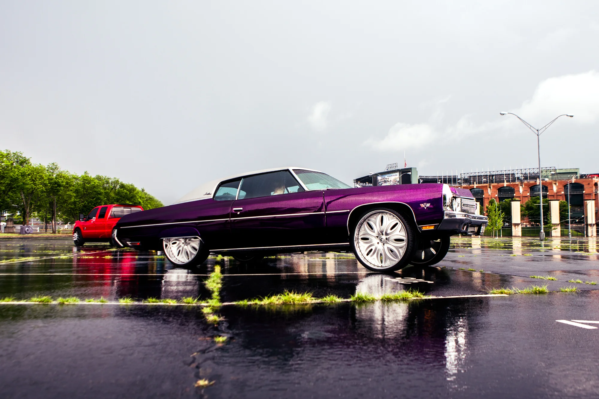 Whips by Wade - Certified