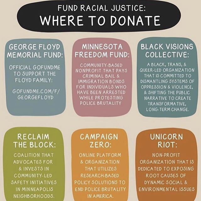 I&rsquo;m borrowing this image from @ashbrookdavis of places where we can put our money to invest in a better future. I&rsquo;m also going to write my Governor and reps and demand they not use military force against protestors. I posted a black box a