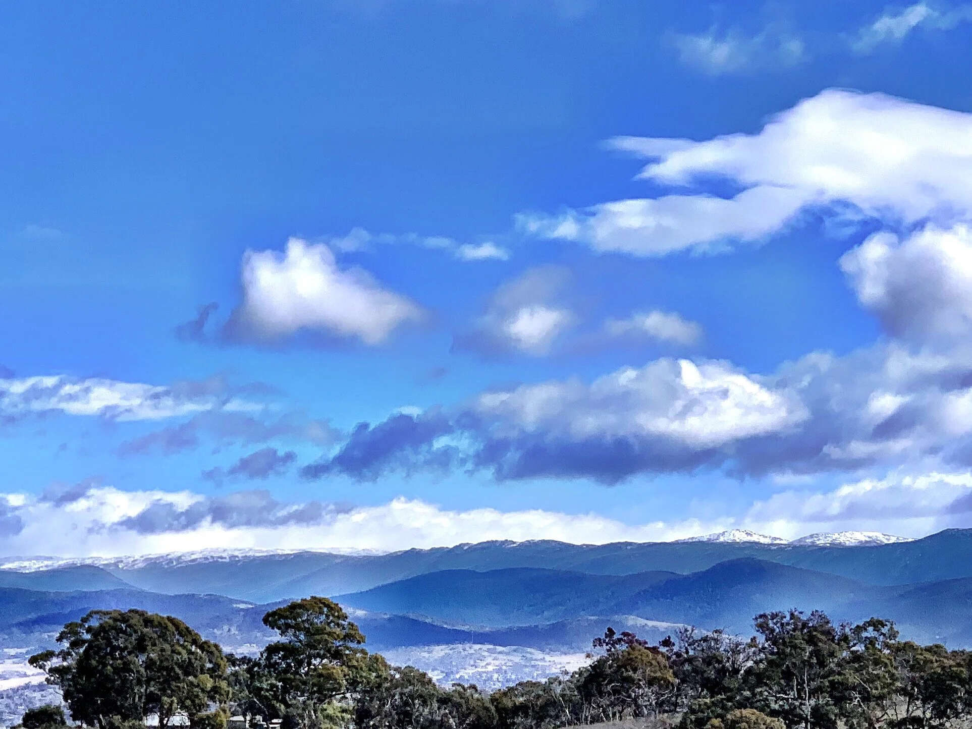 Looking West from the top paddocks to the snow covered peaks of Mt Kosciusko, Thredbo and Mt Perisher