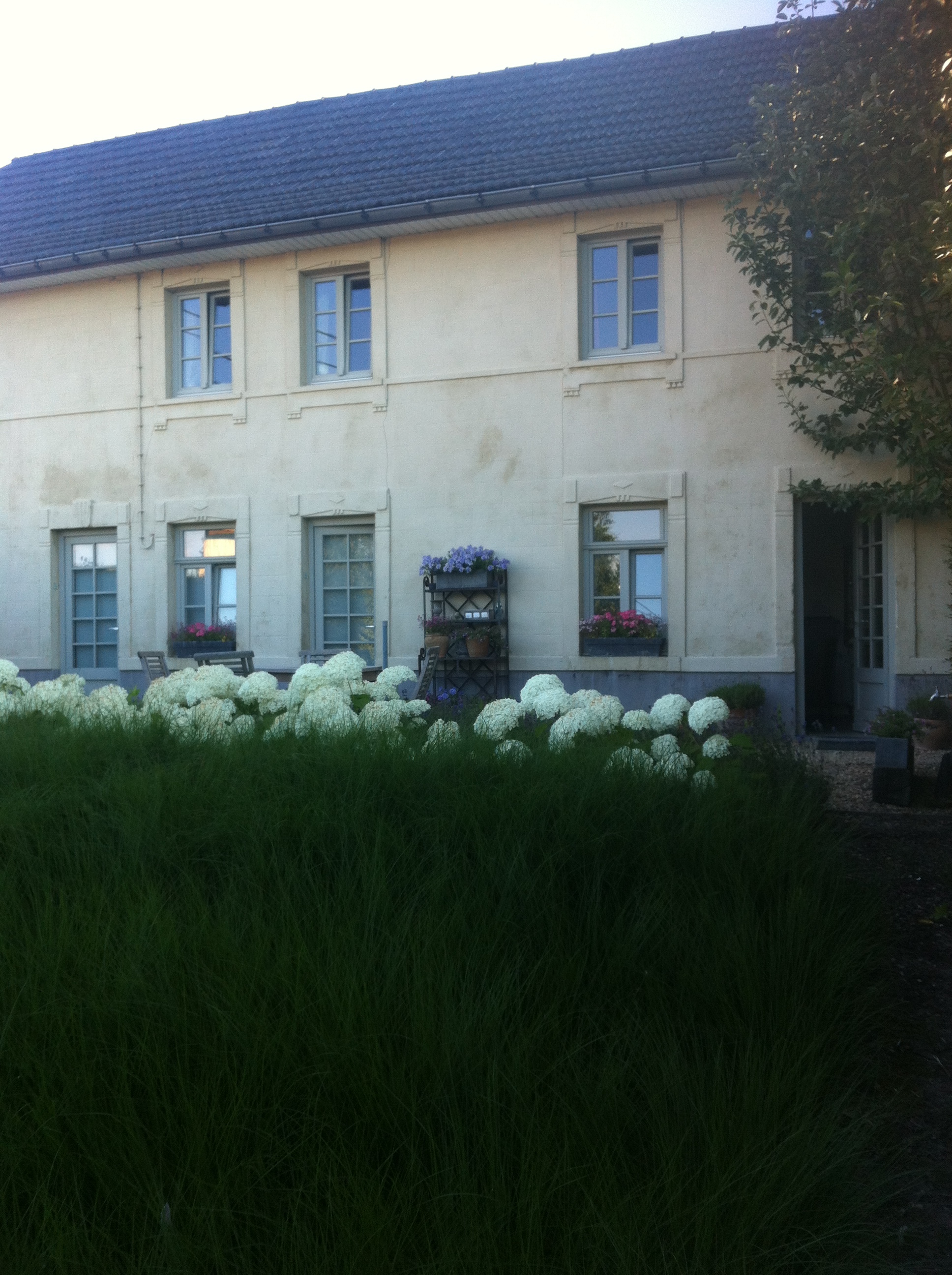 Kokerelle B&B gardens in Maarke Kerkem near the Eikenberg (photo taken 20 July 16)