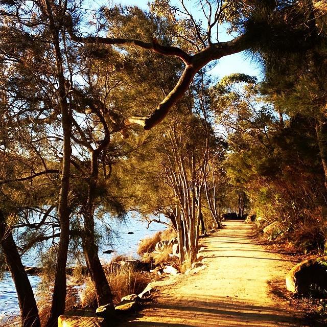 Graham Jones Track circulates the Narrabeen Lagoon. A great walk or cycle.