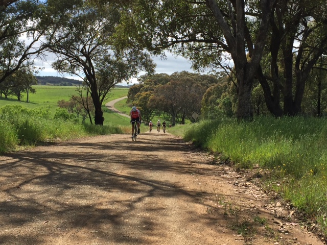 Orange Eroica - what started out as a standard Molong training ride resulted in 32k of dirt