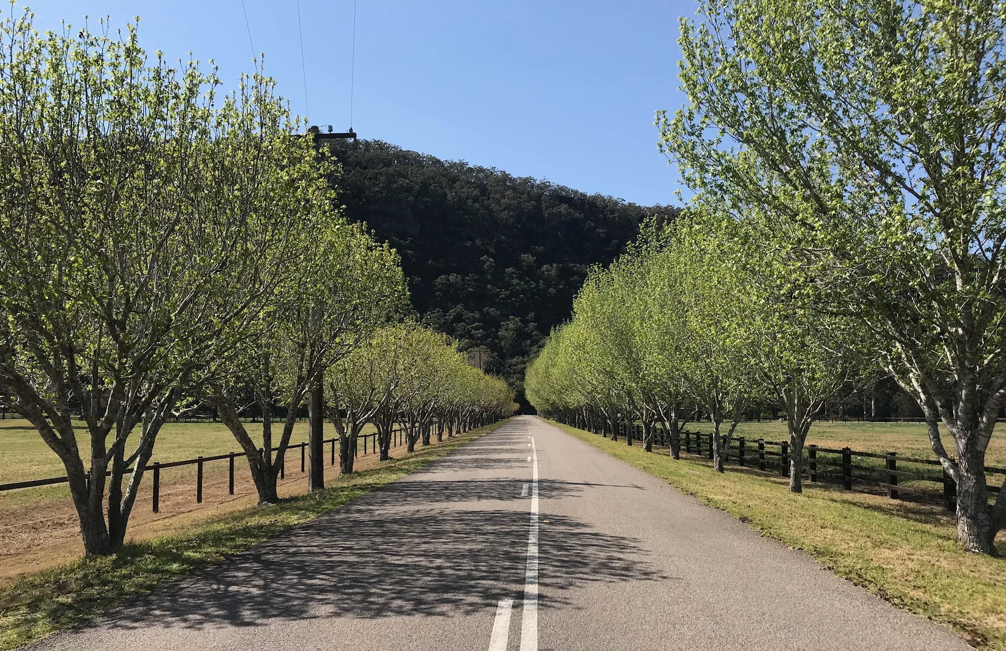 Wisemans Ferry Loop just out of St Albans offers some great cycling country