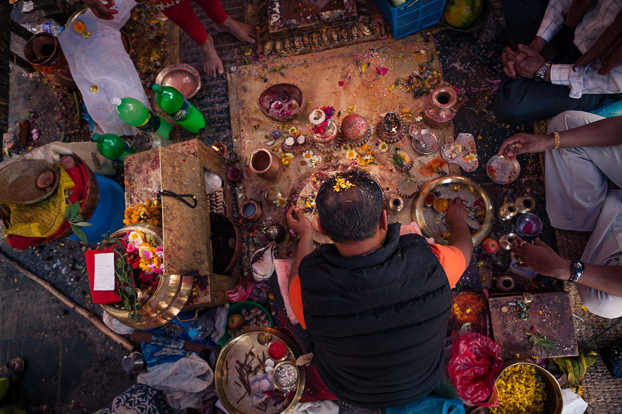 celebration corvaro-3.jpg