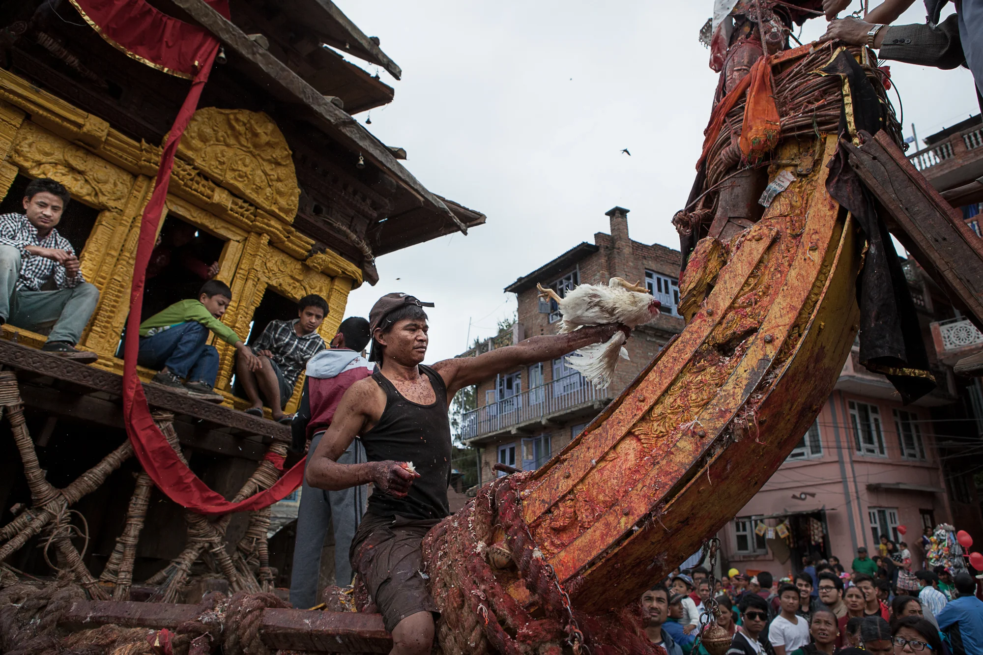 celebration corvaro-10.jpg