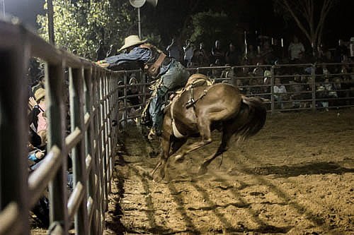 A great escape. ..
..
..
#broomerodeo #broome #kimberley #cowboy #rodeo #horseriding #horse