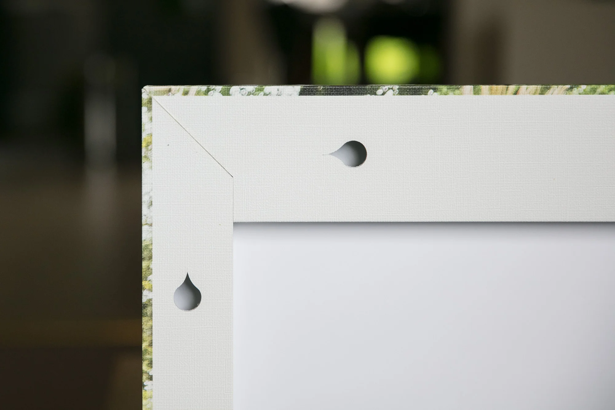Canvas