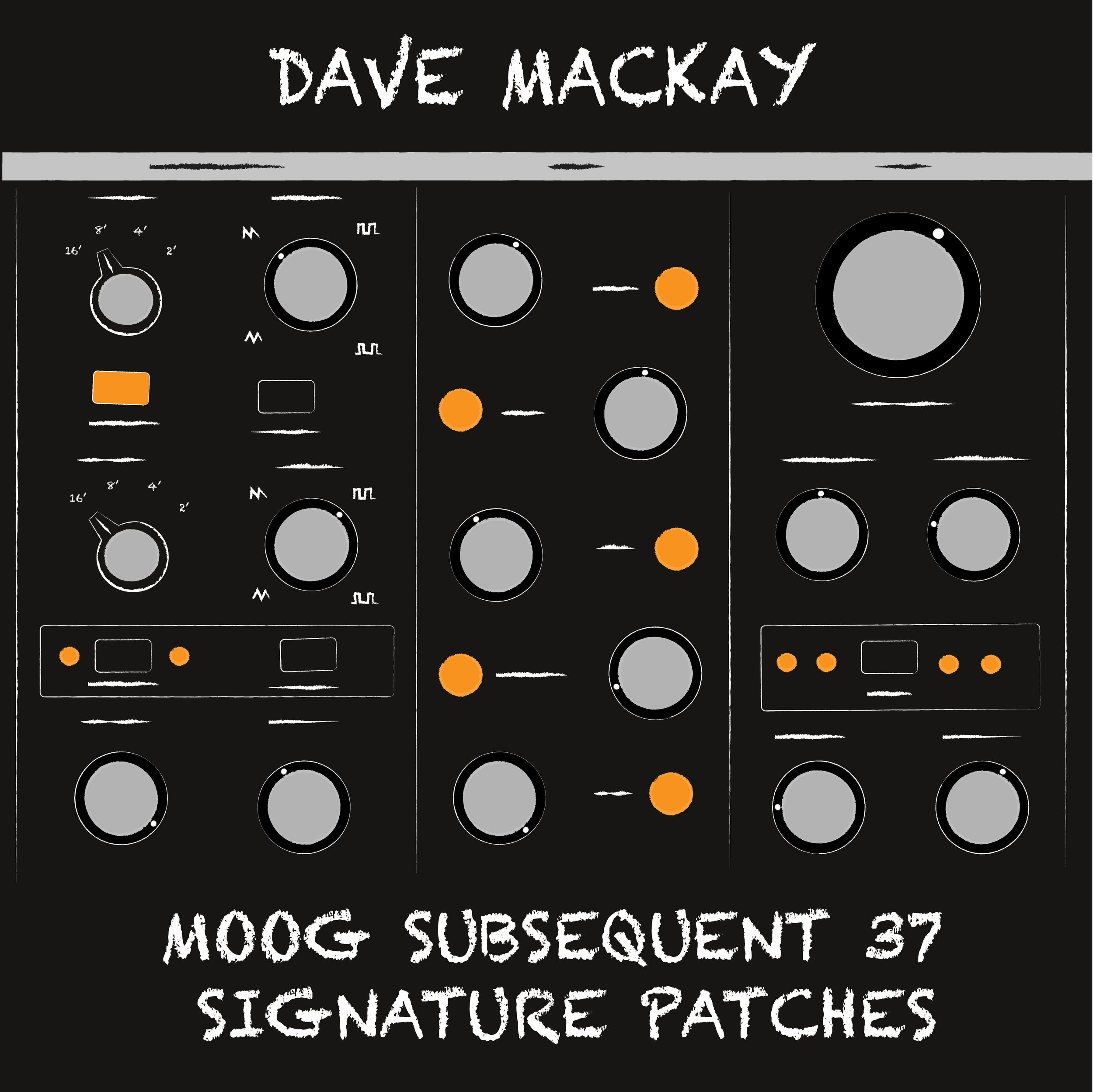 Dave_Moog Web.jpg