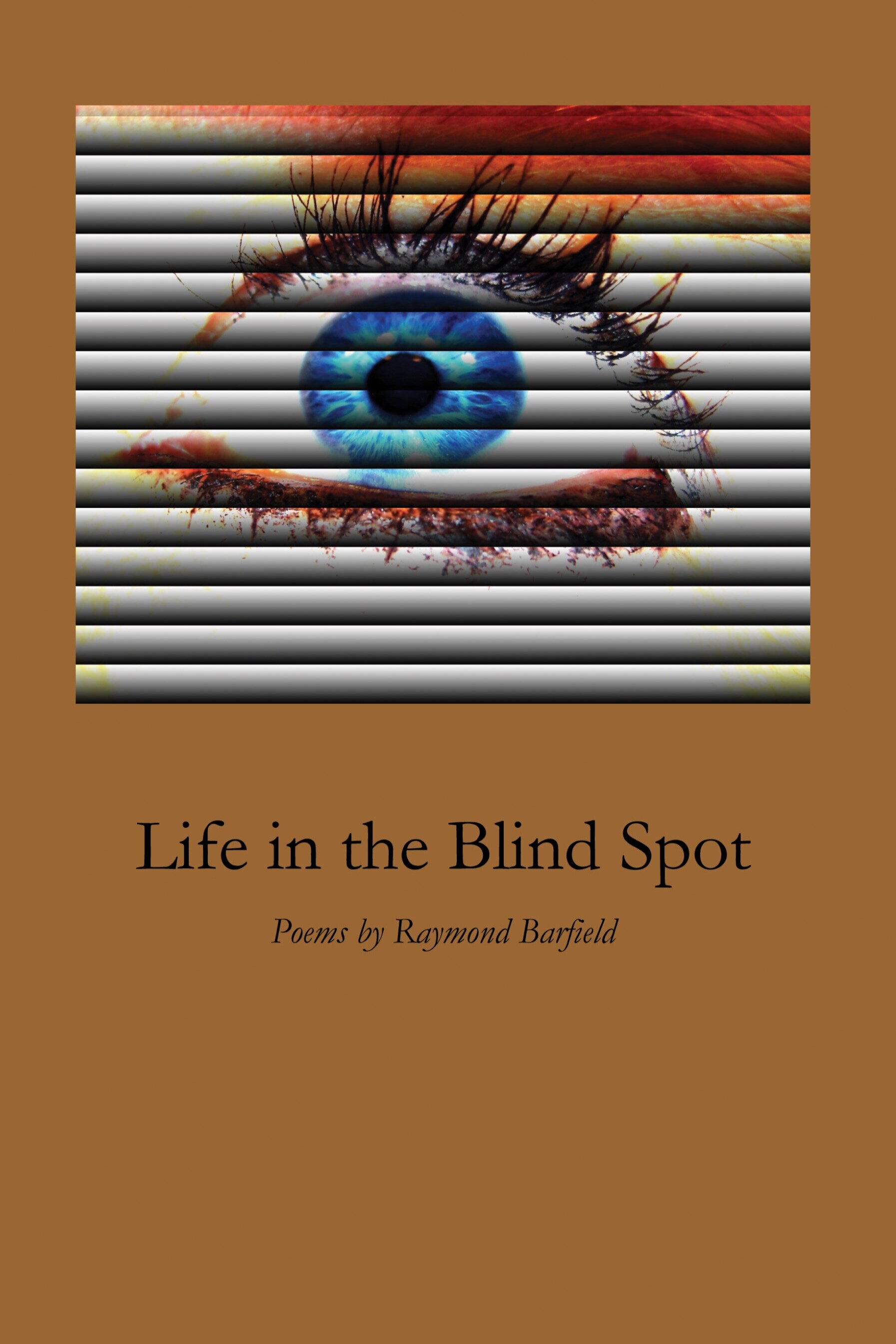 Life+in+the+Blind+Spot.jpg
