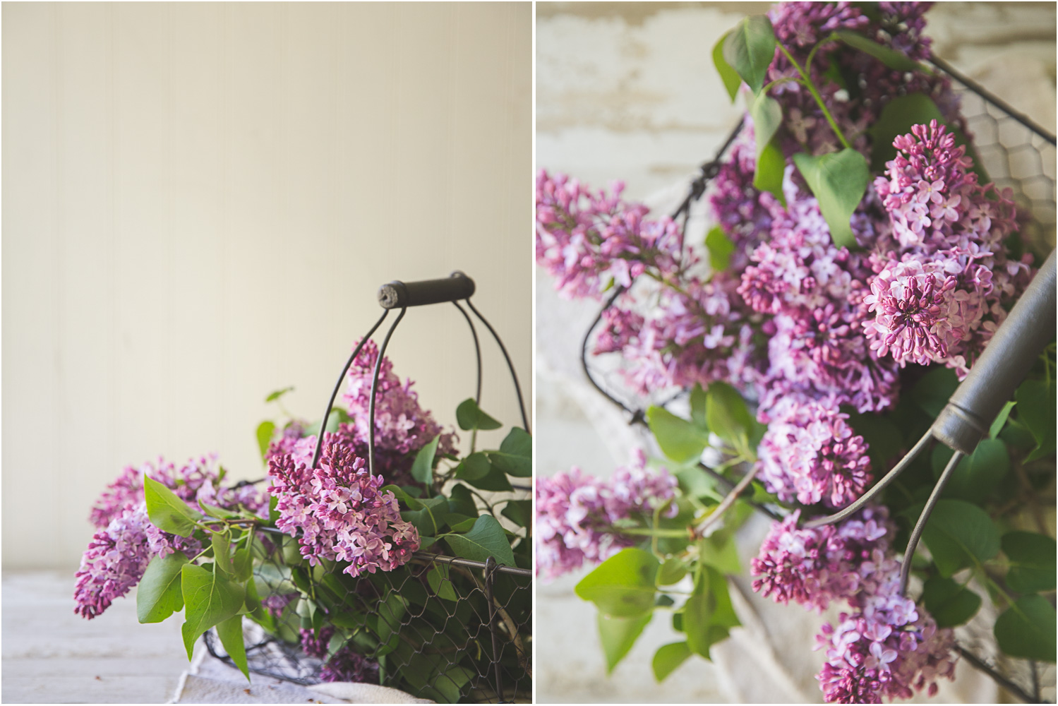 Bragg_Kate_Lilac_Bright_Diptych.jpg