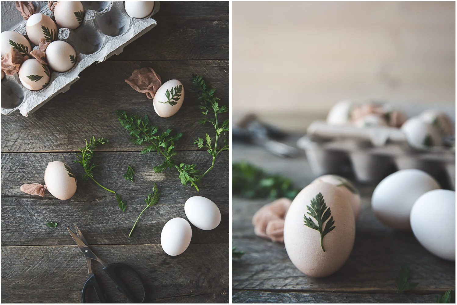 Eggs, prepped and ready for their dye bath
