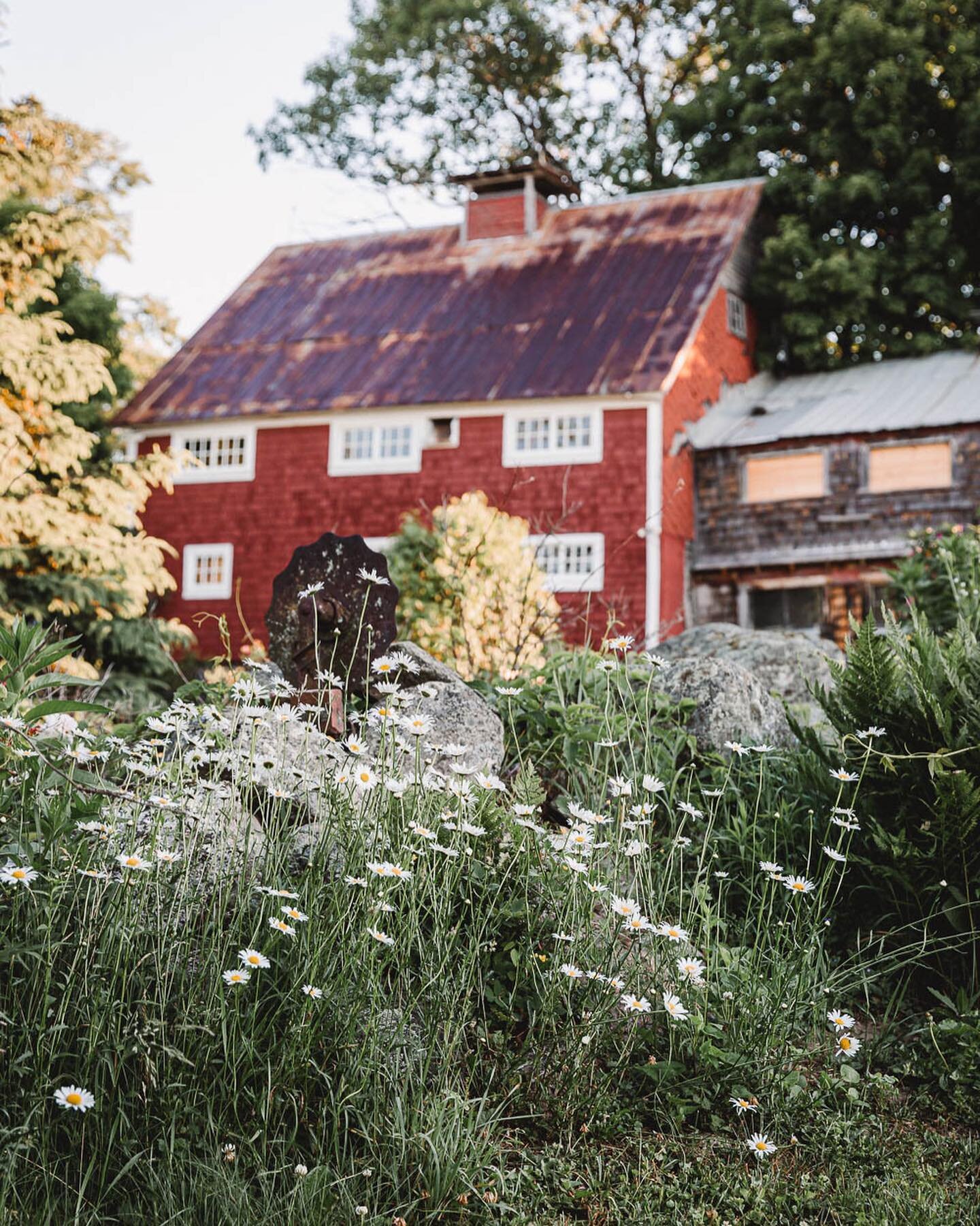 Well hello, there, my friend! How&rsquo;s the summer treating you? It&rsquo;s flying by a little too fast for me, but that&rsquo;s nothing new. 🌿 These photos are from my recent visit with @allisonjacobs 💛 when she came to Maine (🤗 we had so much 