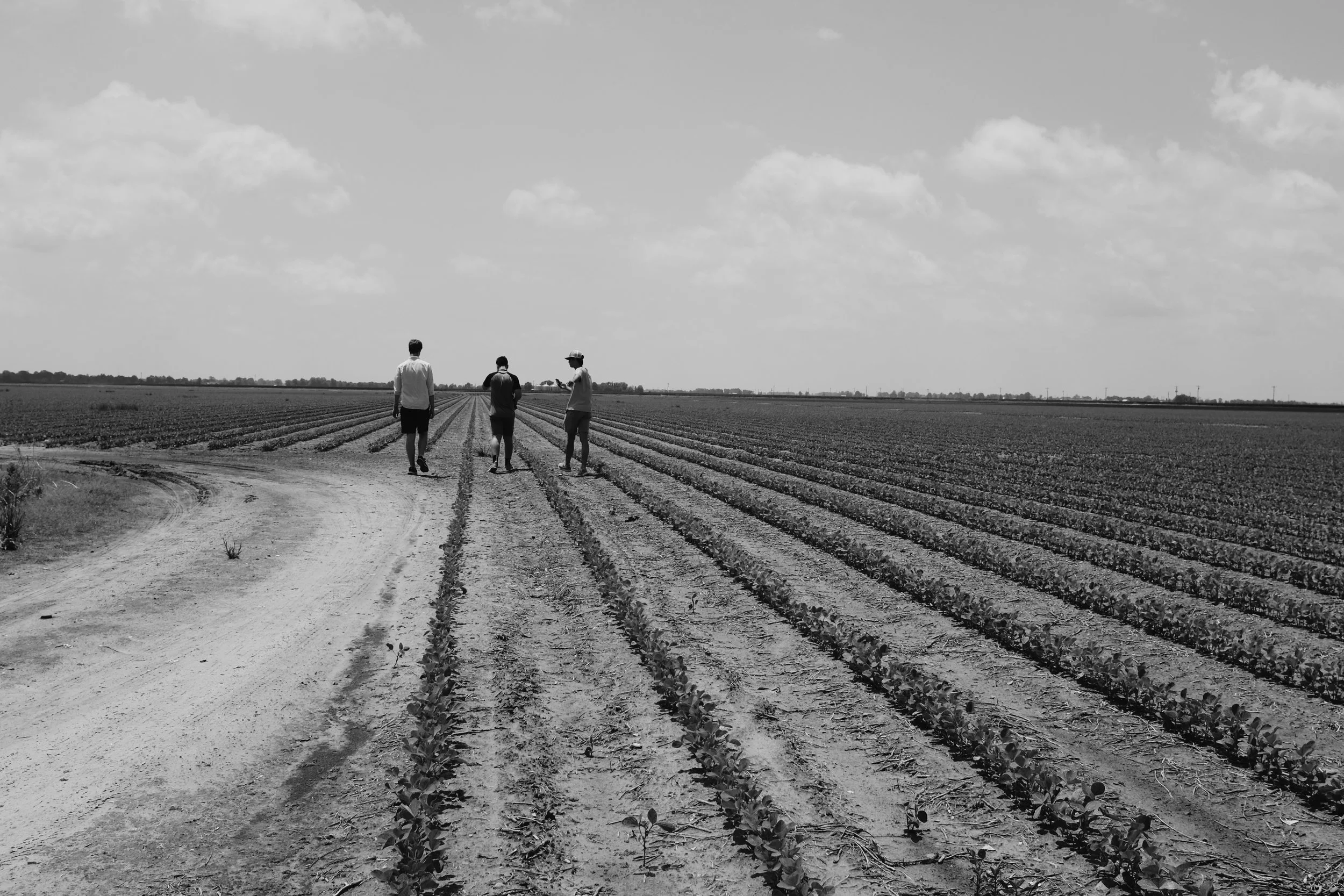 Photo May 29 copy.jpeg