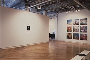 Right: David Rasmus