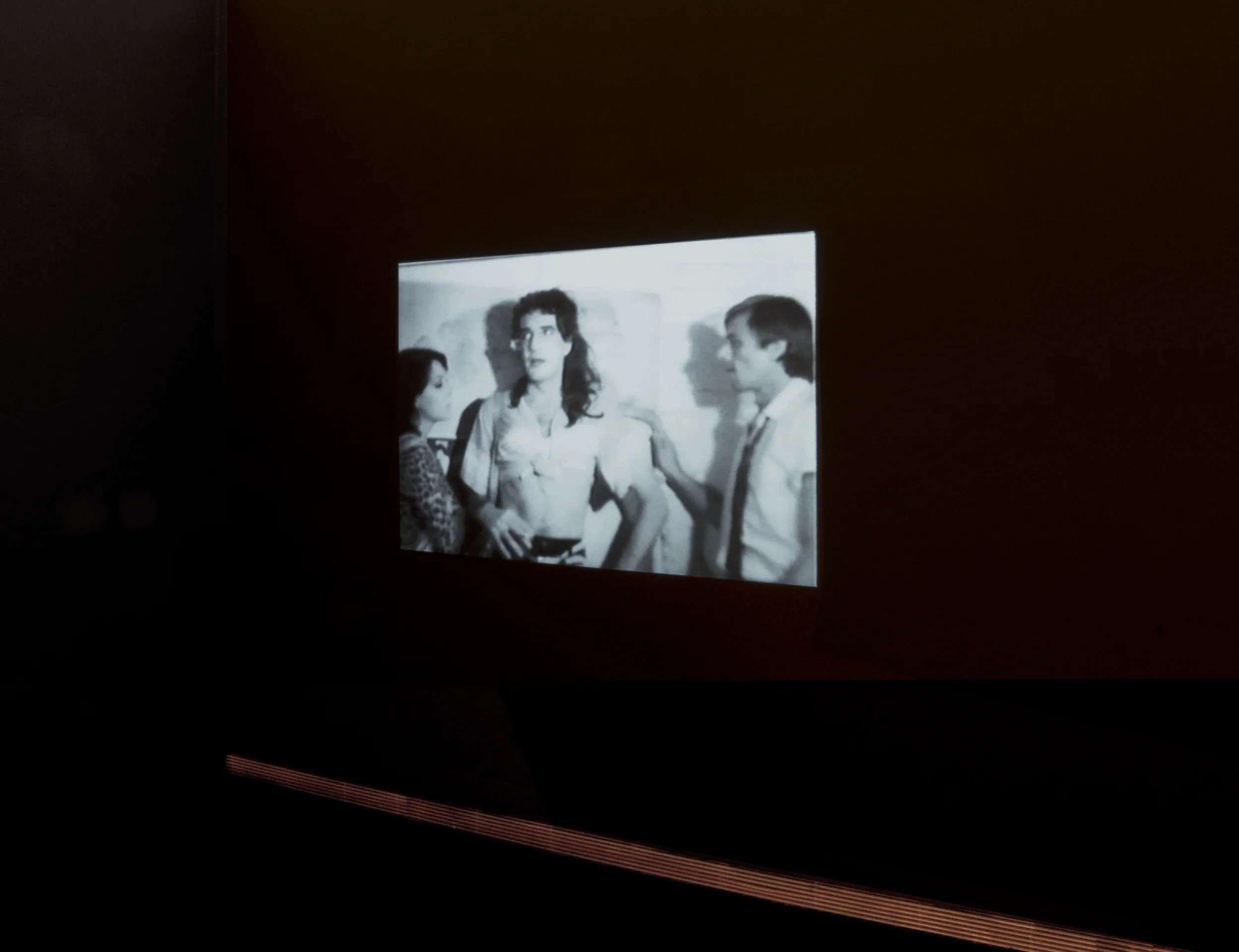 Colin Campbell, Bad Girls , 1979–1980. Courtesy Vtape.