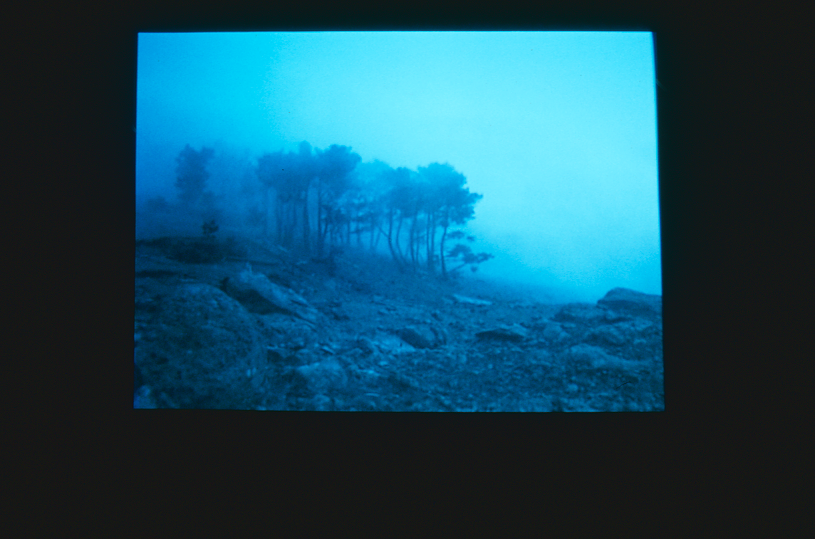 João Penalva, Kitsune (2001); photo: Cheryl O’Brien